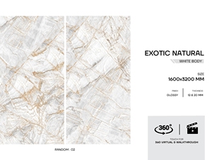 Collection 2025 du fabricant indien Finition brillante Dalles de mur et de sol intérieurs 1600*3200mm Épaisseur 20mm pour villas - Product Image 6