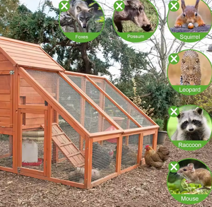 Sıcak Daldırma Galvanizli Demir Tel Kaynaklı Hasır 1/2 İnç 48 İnç X 100 Feet Sağlam Dayanıklı Gümüş Renkli Tel Örgü Tavuk Kafesleri - Product Image 4