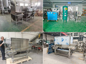 Machine à éplucher les oignons et l'ail pneumatique pour les petites entreprises en Chine - Product Image 5