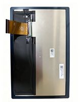 Écran d'affichage LCD de 10,1 pouces COG-PVLGT7394 LBL-VLGT7369-01A00