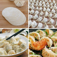 Machine automatique à fabriquer des enveloppes de raviolis, momos, samosas, empanadas, rotis, chapatis, tortillas, papads, 3600 pièces/h, en acier inoxydable