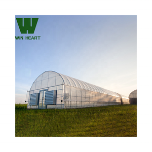 Serre agricole à tunnel haut de grande taille 2024 pour la serre de culture de tomates - Product Image 1