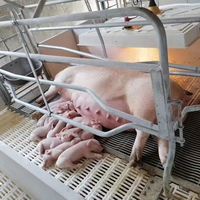 Système de décrochage d'équipement de ferme porcine de style européen