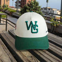 Casquette de camionneur personnalisable 100 % coton, casquette de baseball tendance à 5 panneaux unisexe avec broderie 3D pour le sport, le hip-hop et les activités de plein air