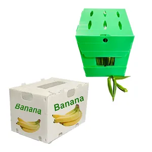 5千克pp波纹塑料秋葵包装盒Correx corflute波纹塑料香蕉蓝莓包装盒包装