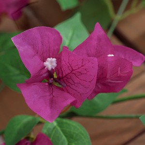 Vignes artificielles de bougainvillier Qingxu, fleurs en soie longue durée pour la décoration des hôtels, des vitrines, l'aménagement paysager et la couverture de tuyaux - Product Image 4
