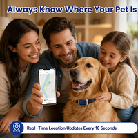 Traceur GPS étanche G12P 2G pour chiens et chats avec géolocalisation, lecture de l'historique, suivi en temps réel via application, sans abonnement