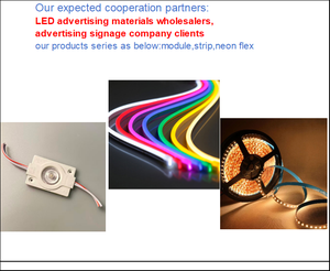 โมดูล LED แบบฉีดขึ้นรูป SMD DC12V/24V รับประกัน 3 ปี สำหรับกล่องไฟแสดงผลแบบ Backlit และแหล่งกำเนิดแสงไฟโฆษณา LED - Product Image 2