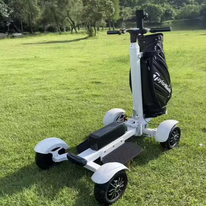<span class=keywords><strong>Chariot</strong></span> de <span class=keywords><strong>golf</strong></span> électrique pliable en promotion avec batterie au lithium, chariots de <span class=keywords><strong>golf</strong></span> motorisés, scooter, vente en gros OEM, livraison rapide, certifié CE - Product Image 6