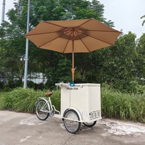 Carrito de Comida Rápida para Helados y Hot Dogs, con Congelador Eléctrico, Uso Comercial, Ligero, Móvil, de 3 Ruedas, de Metal y Espuma - Product Image 2