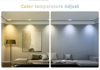 Controlador LED de nuevo diseño 2,4G RF 4-Zone CCT Control remoto con diseño moderno colorido