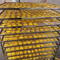 Intelligente constante temperatuur citroen- en sinaasappeldroger, citrusplakjes droogmachine, fruitchips drooginstallatie