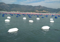 Pare-battage gonflable anti-abrasion en PVC pour bateaux, avec corde d'amarrage et pompe à air pour bateaux de travail