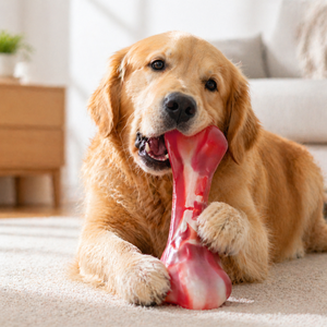 Juguete Masticable Ecológico para Perros de Fibra de Nylon PA, en Forma de Rama, Resistente, para Perros Mordedores Agresivos - Product Image 1