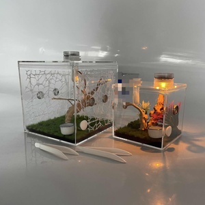 Factory Wholesale Clear Lucite Jumping Spider Feeding Cage Acrylic Display Enclosure for Reptile Breeding Observation - Product Image 1