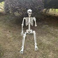 Décoration de jardin pour Halloween, squelettes humains de grande taille, 5,4 pieds, 5 pieds, 160 cm, postures variées, squelettes d'Halloween