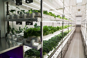 Lyine Conteneur d'agriculture hydroponique entièrement automatique Conteneur de culture d'expédition Conteneur de culture hydroponique vertical personnalisé Fermes de conteneurs hydroponiques Nft - Product Image 5