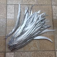 Plumes de queue de coq naturelles or et argent de pulvérisation en vrac plumes Gallo en vrac pour décoration de Costumes de carnaval