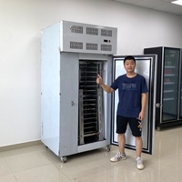 Commerciële 15-bakjes blastchiller shockvriezer -45°C snelkoelmachine voor bakkerijen & restaurants