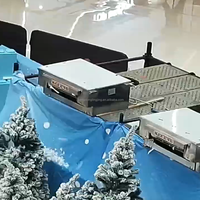 Décorations d'hiver d'intérieur réalistes toutes saisons Machine à chutes de neige Paysages étonnants pour complexe de spa Machines à glace hautes