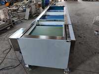 Automatische Blauwe-bessen Sorteermachine Blauwe-bessen Graderingsmachine Fruit- en Groentesorteermachine