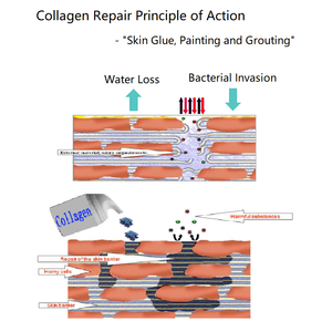 El más vendido, suero reparador para la cara, poros de la piel, suero para el cuidado de la barrera del colágeno, suero para el cuidado facial antienvejecimiento - Product Image 6