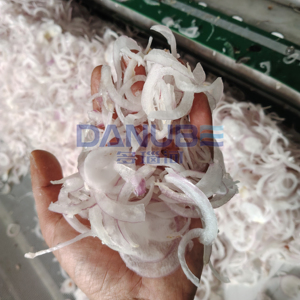 Nouvelle technologie de ligne de production pour le nettoyage, la découpe et le séchage des oignons, sécheuse à bande continue en maille - Product Image 4