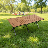 Table pliante portable XL en acier carbone pour 2 à 8 personnes, table de camping imperméable pour pique-nique et barbecue en extérieur