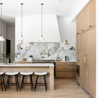 Meuble de cuisine modulaire en bois contemporain et moderne, couleur personnalisable, avec évier, robinet, charnières, tiroirs et paniers, pour usage hospitalier, 5+ tiroirs