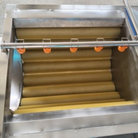 Machine à laver industrielle à rouleaux brosse pour le nettoyage des légumes (maïs, pommes de terre, carottes, gingembre) haute pression multifonctionnelle