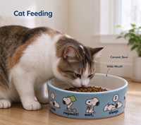 Bol en céramique pour animaux de compagnie de dessin animé Design et taille personnalisés pour chiens et chats Bol d'alimentation en eau et en nourriture pour animaux de compagnie