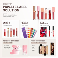 Baume à lèvres repulpant 20 ml avec applicateur massant, nouveau produit, vente en gros, logo personnalisé, tube souple, huile pour les lèvres, petite quantité disponible