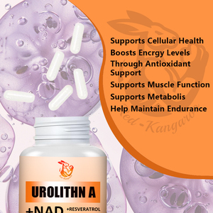 Capsules de Urolithin A NAD à marque privée avec extrait de pépins de raisin, pterostilbène, capsules de complément alimentaire végétalien complexe de Urolithin A - Product Image 5