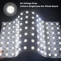 Feuille LED Flexible Ultra Lumineuse avec Lentilles pour Diffusion sur Marbre, Feuille LED DC24V SMD2835 98 LED/Pièce Grande Taille 500*250MM/Pièce Découpable
