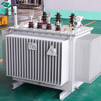 Transformateur rempli d'huile 800kva Dyn11/Yyn0 du fabricant professionnel pour centrales électriques trois entrées 10kv/220v 380v 110v 440v