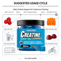 Gummies à la créatine monohydrate avec électrolytes, collagène et L-citrulline, gummies pour booster l'énergie, la récupération et la forme physique