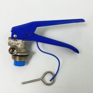 Válvula de Latón y Cobre para Extintor de Incendios con Certificación ISO CE, Válvula Cromada, Accesorios para Extintores de Incendios, Interruptor, Proveedor de Equipos Contra Incendios - Product Image 6