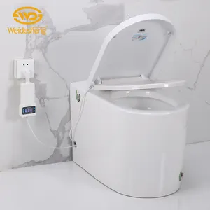Weidesheng Fabricantes fornecimento pé tocar jato de sifão wc wc inteligente com side botton