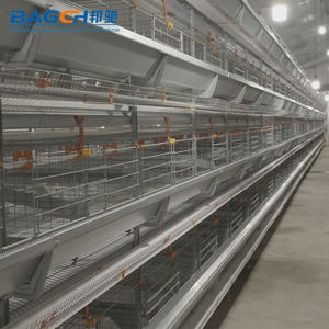 Système automatique de cage pour animaux en acier de type H Nouvelle cage pour poulets de chair pour ferme avicole Équipement pour poulailler d'occasion - Product Image 4