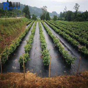 3X300 ft Tissu de paysage tissé Géotextile <span class=keywords><strong>sous</strong></span> gravier pour le contrôle de l'érosion Barrière contre les mauvaises herbes - Product Image 3