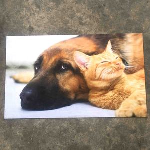 Tapis de porte personnalisés imprimés par sublimation pour chien - Product Image 6