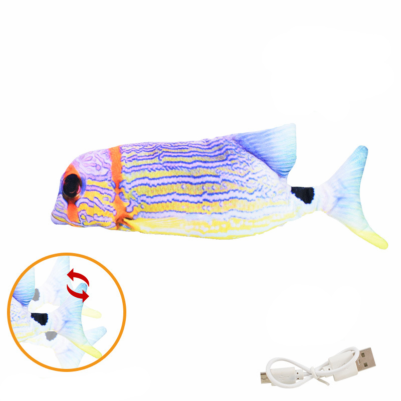 14. Poisson arc-en-ciel