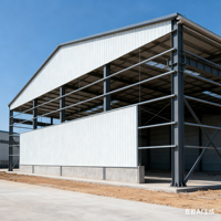 Structure en acier préfabriquée économique, cadre métallique léger pour bâtiment d'entrepôt d'usine