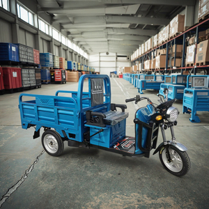 Quality Electric Three Wheel Cargo Tricycles Electric Motor Passenger for Family Use - Product Image 5