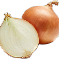 Moon Star Brand Ui Zaad Texas Grano Geel OPV 99,99% Zuiverheid Pakistan Oorsprong 85% Kiembaarheid 7% Vocht Professional