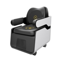 Chaise magnétique double EMS 2 en 1 pour la réparation du plancher pelvien + thérapie magnétique lombaire, traitement non invasif des fuites urinaires post-partum