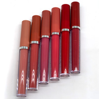 Kit de maquillage OEM imperméable et mat avec logo personnalisé Lot de 6 couleurs mat pour les lèvres Rouge à lèvres liquide antiadhésif de marque privée