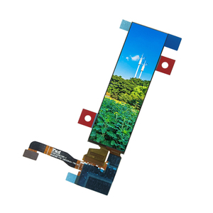 3.2 英寸 262*928 条形 MIPI AMOLED 显示屏，带电容式触摸屏 3.19 英寸彩色 OLED LCD 模块 AMOLED 屏幕 - Product Image 1
