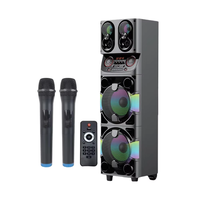 Haut-parleur de karaoké Bluetooth avec micro sans fil, grandes enceintes pour fêtes DJ en extérieur, haut-parleur de karaoké avec micro DR1021