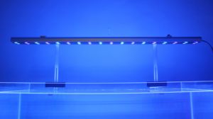 Efficiënt Dimbaar Volledig Spectrum Waterplant Licht Zeeaquarium Led Lichtbalk Voor Koraalrif - Product Image 5